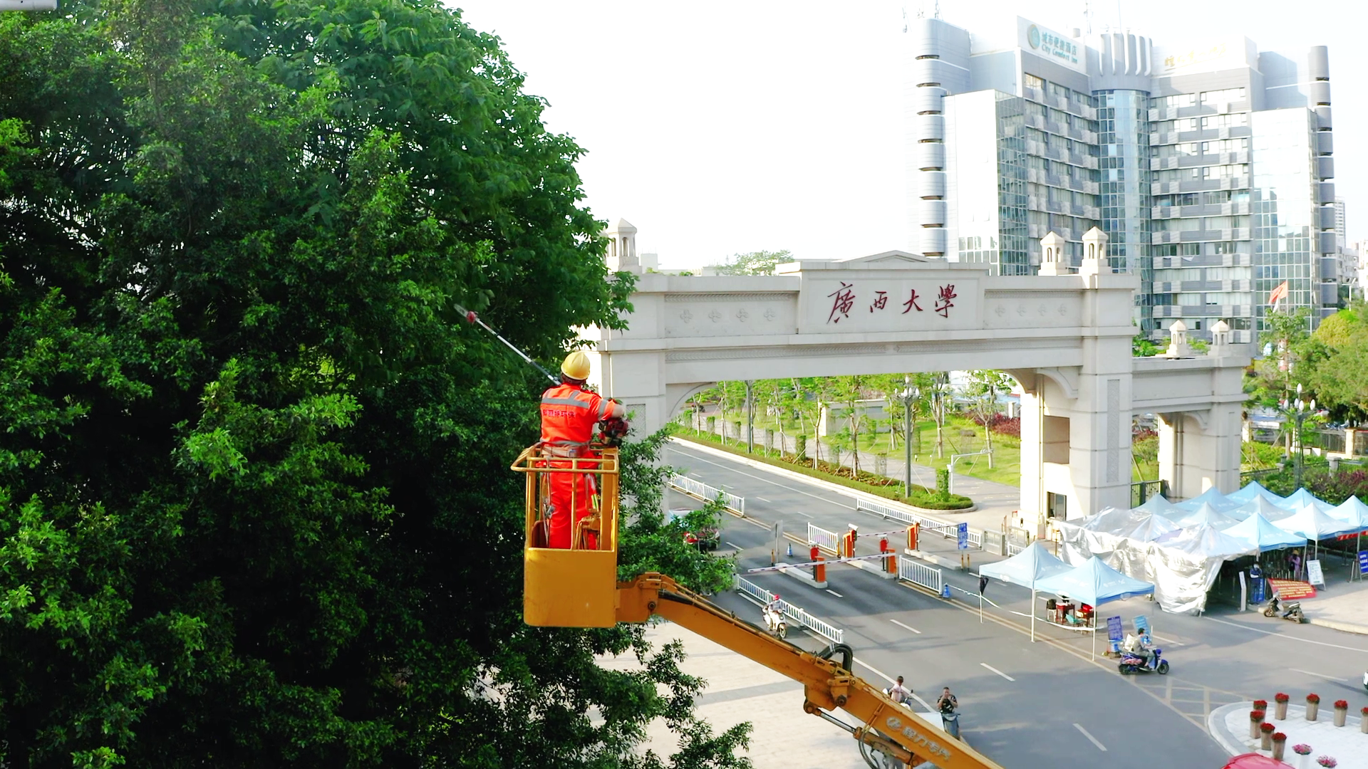 科麗特 美麗的守護者定稿-無字幕[00_03_10][20200811-110847].png