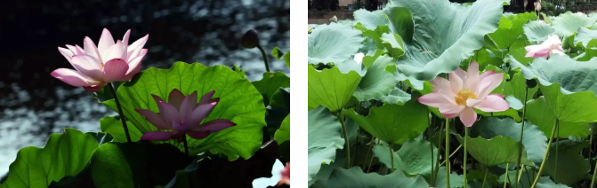 1763004155431690.png 企業微信截圖_1763004043209.png